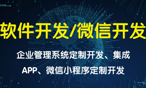 软件定制开发